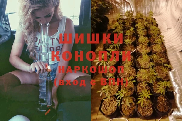 PSILOCYBIN Богородск